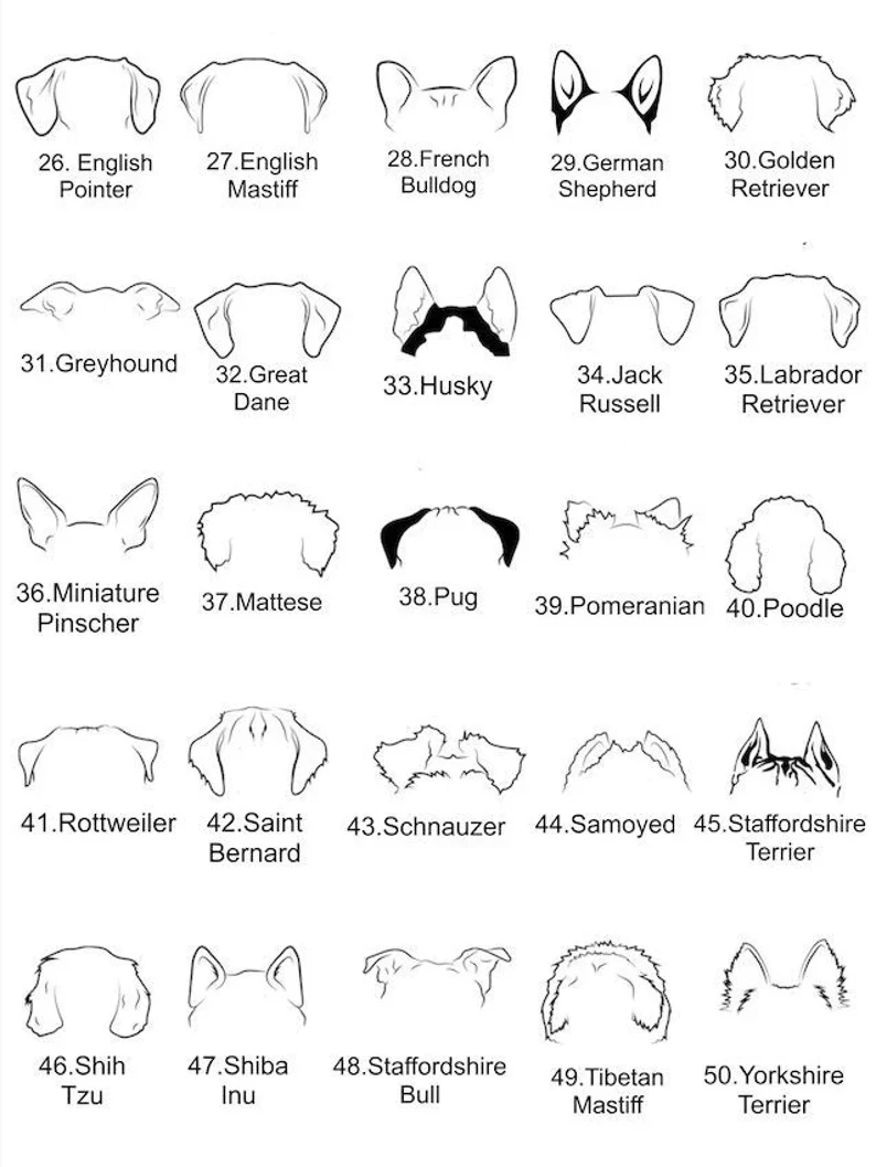 Necklace: Pet Silhouette - Image 3